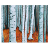 Birch Forest by Cindy Kerton