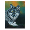 Wolf by Nancy Wood